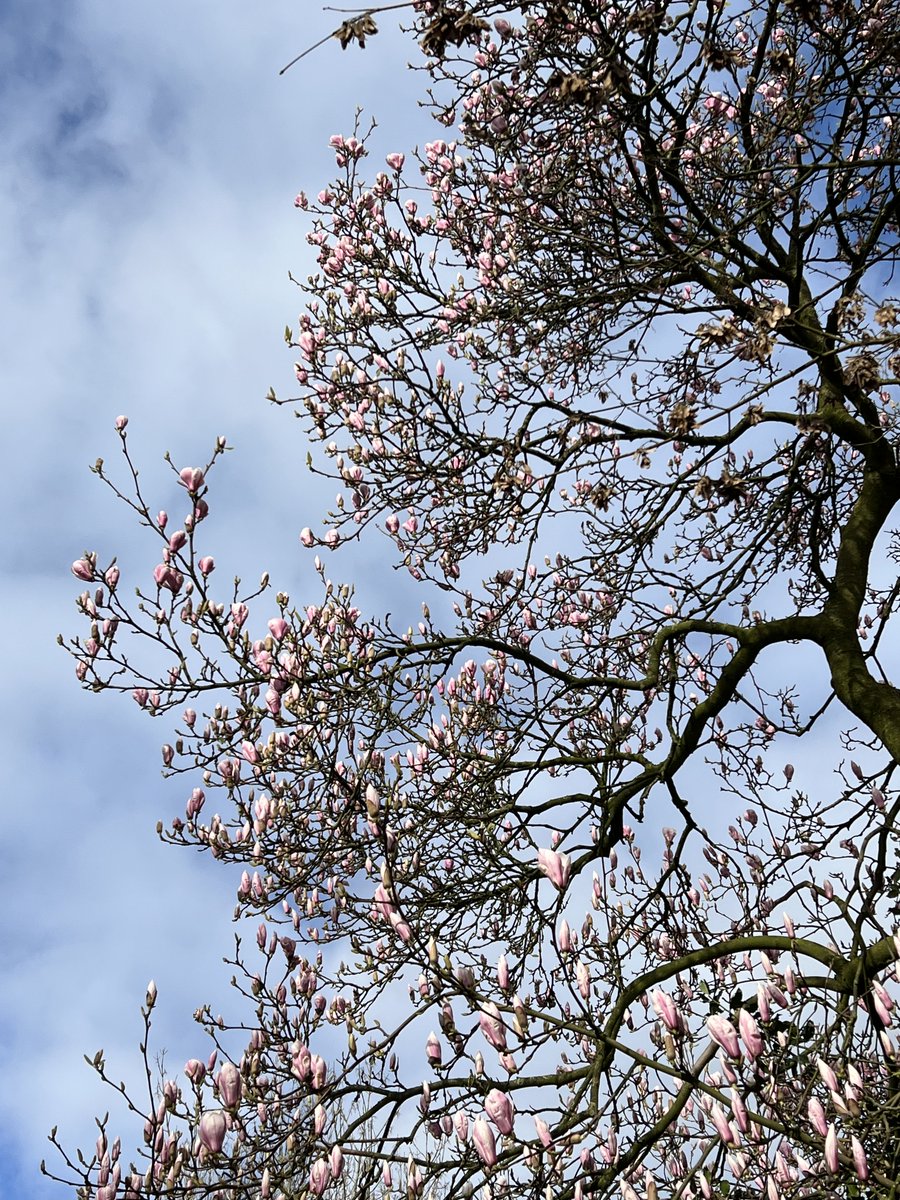 jos weerkamp tweet media