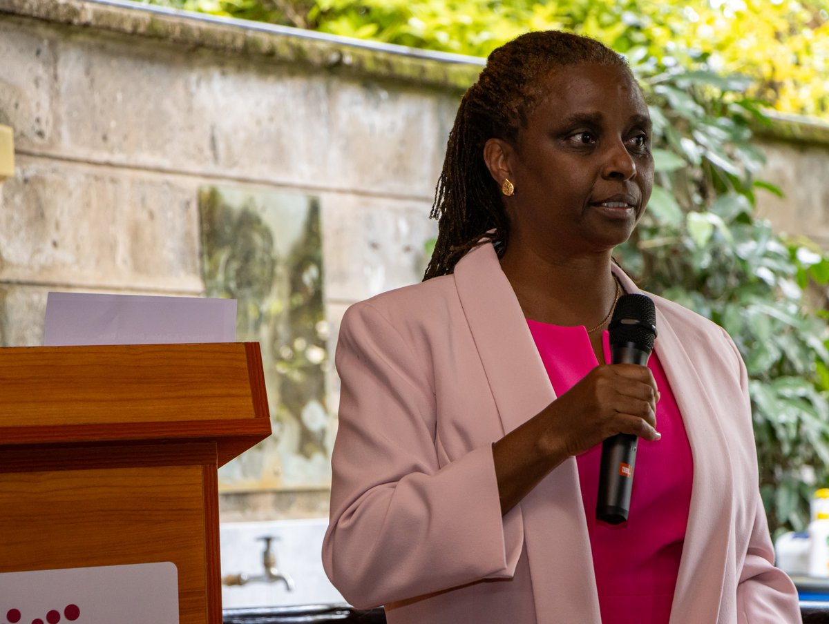 Democracy Trust Fund tweet media