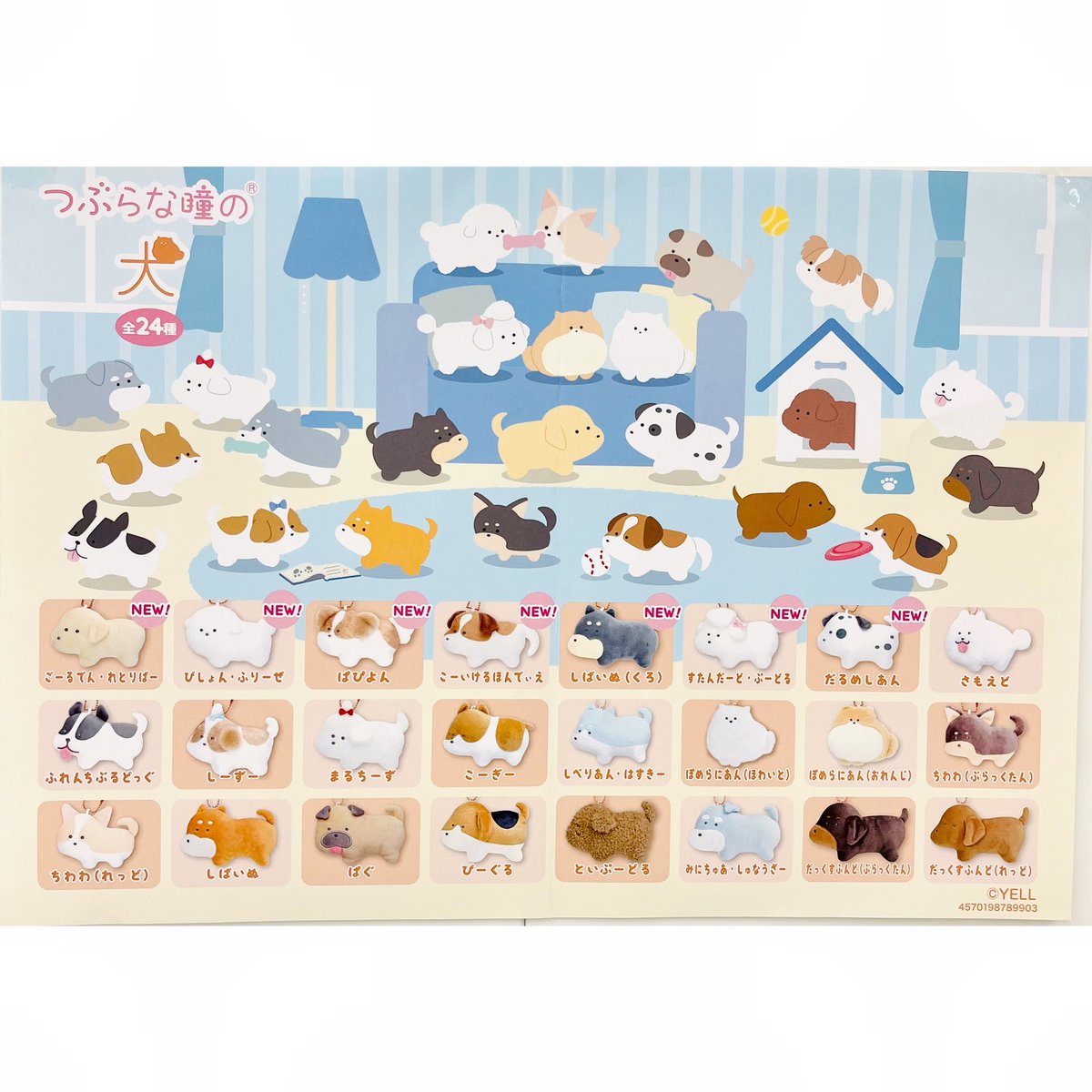 ✨景品情報✨ 【つぶらな瞳の犬】 犬好きさん集合 