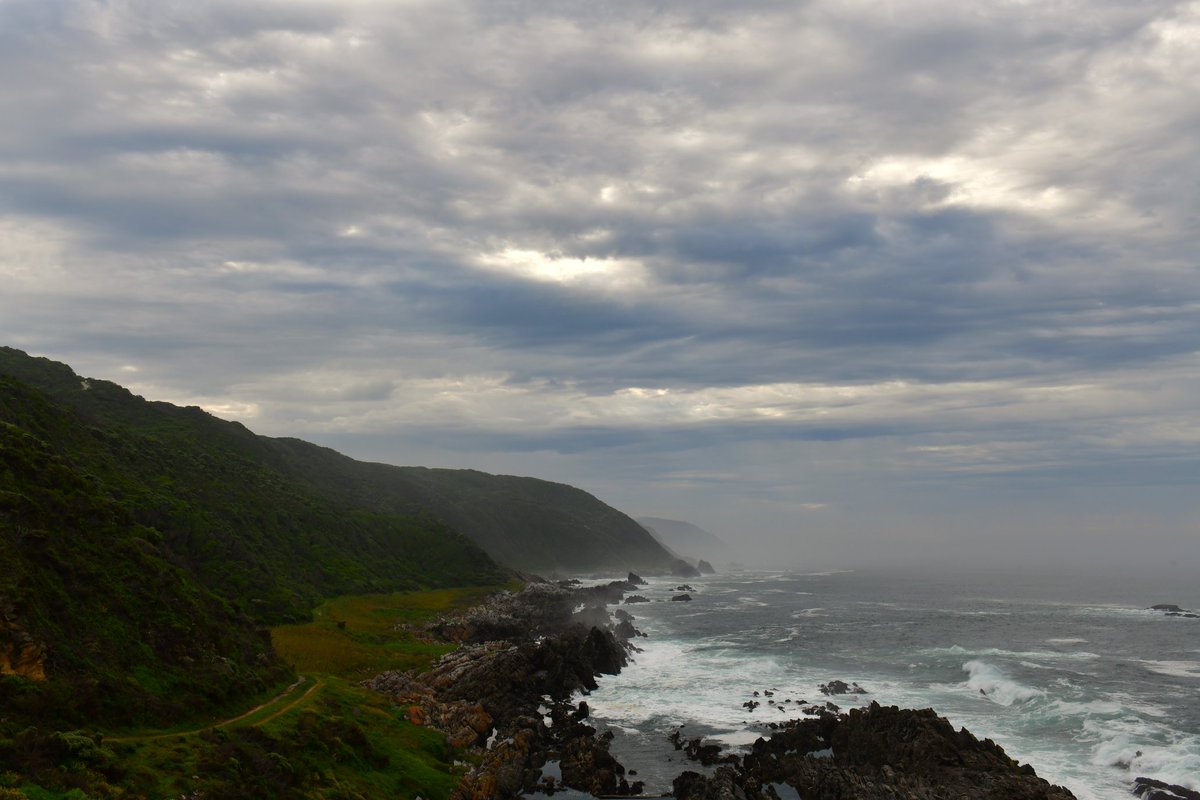 Where ocean meets land...