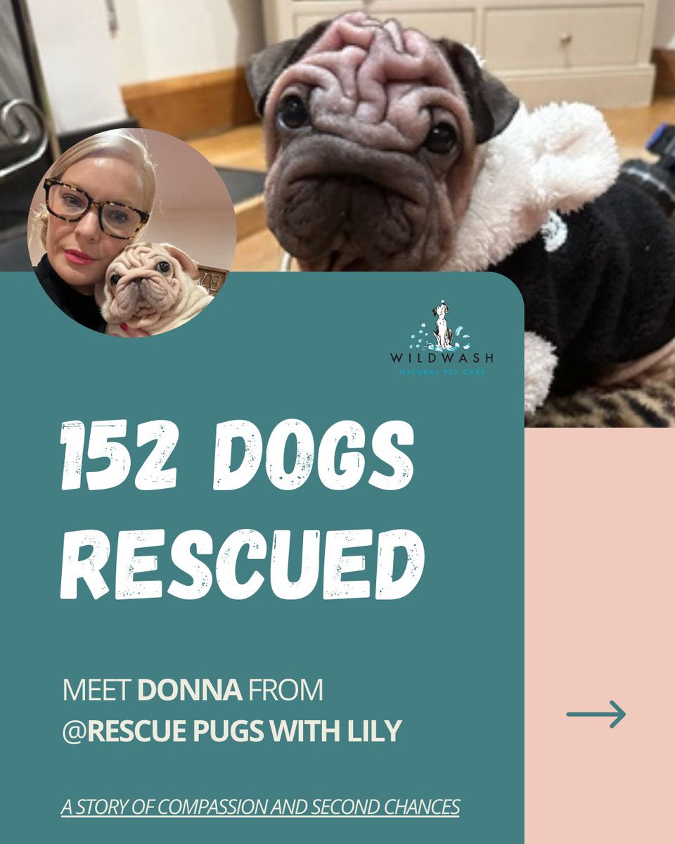 WildWash tweet media