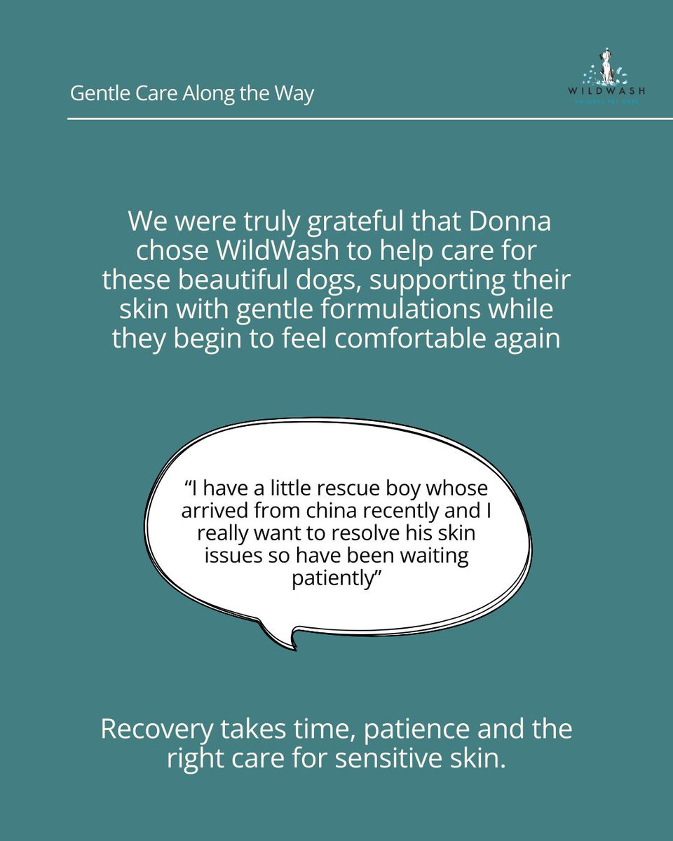 WildWash tweet media