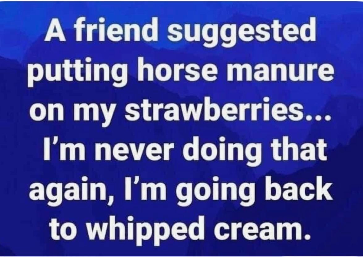 caron_allan's tweet image. Who's with me? 😂 😂 😂 

#humour #jokes