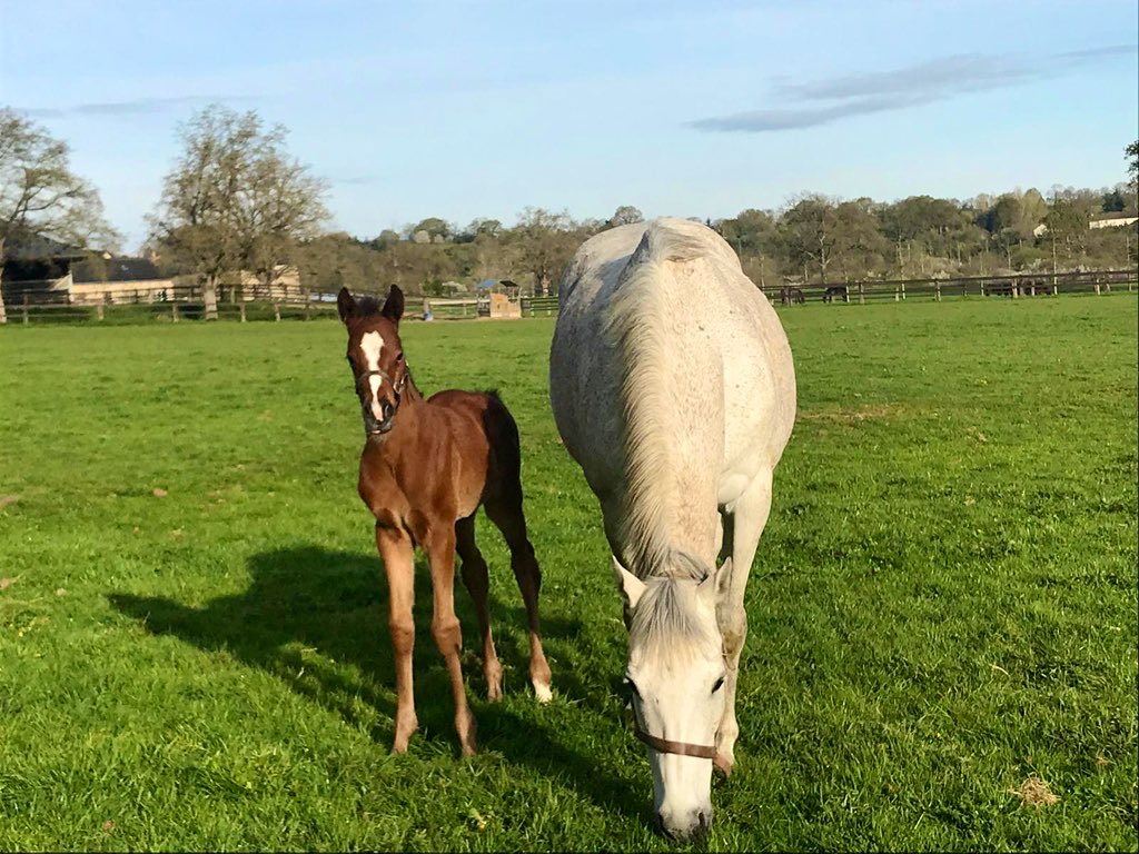 Jess Stafford tweet media