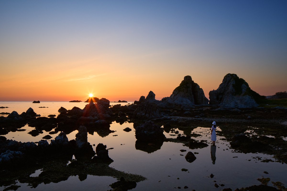 佐渡汽船株式会社【公式】 tweet media