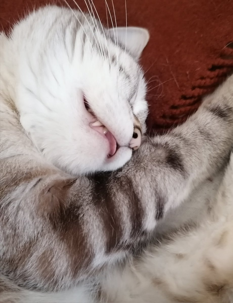 Angélique Labruyère tweet media