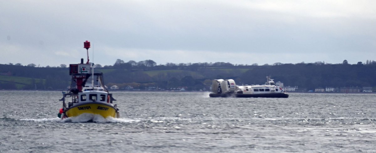 Steve A Wenham tweet media