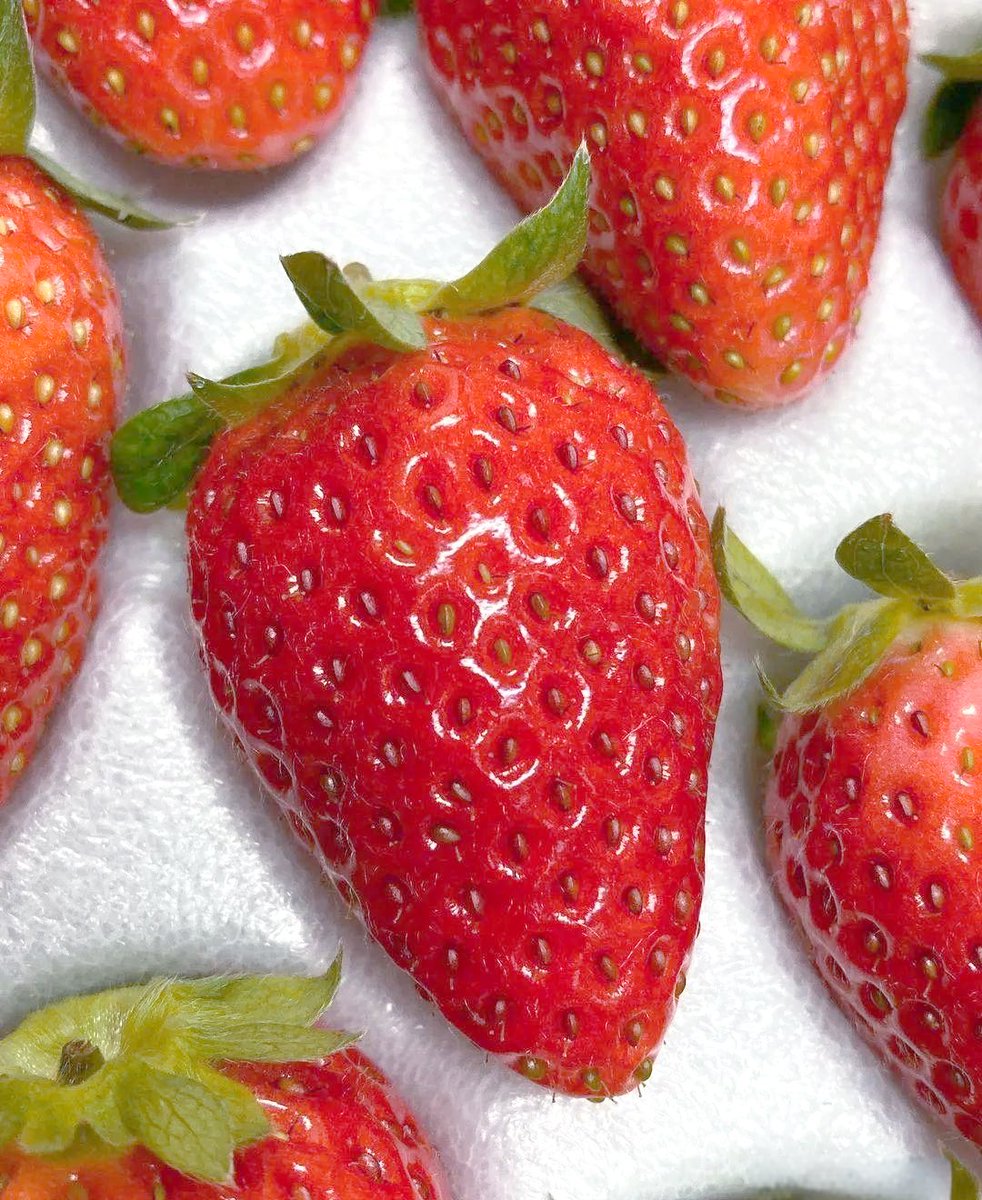 mixgrafmp's tweet photo. "Bite into a fresh berry—sweet juice bursts, sun on skin. Perfect snack " https://t.co/FE24IgNUg8