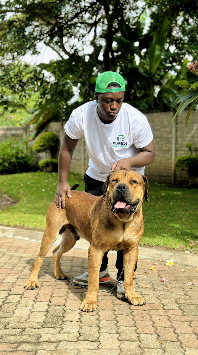 prodigy_k9s's tweet photo. @ZimViral Matiiko https://t.co/2kIs48RmkJ