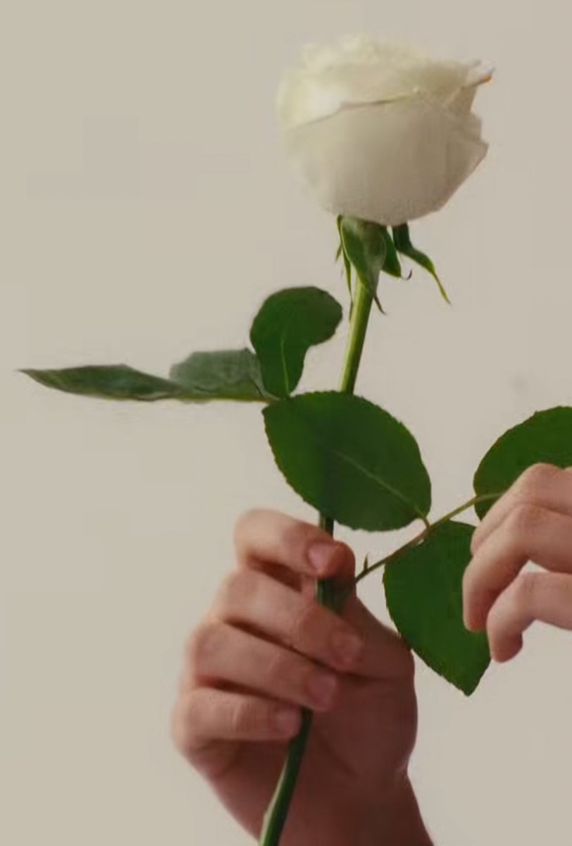 ANT0NIEAN's tweet photo. puwede ba kiligin kasi sabi nung isa diyan na if he were to give a flower to his very good friend, it will be a white rose 🤓☝🏻 ah bawal ? sige sige 😆 https://t.co/yW1ZPVlflf