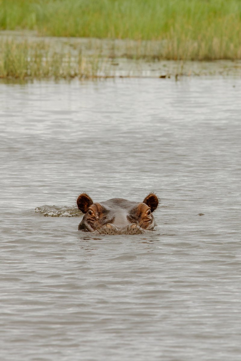 N/a'an ku sê Group of Companies tweet media