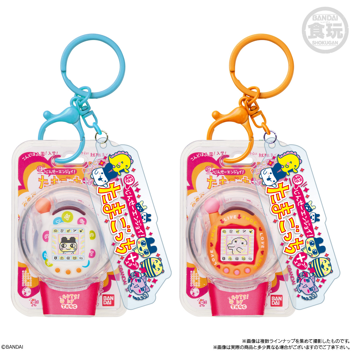 アニメ！アニメ！ tweet media