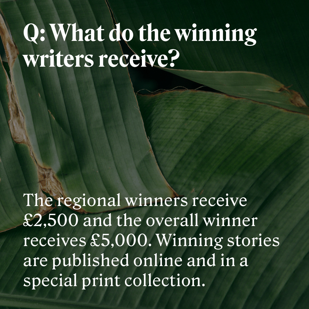 Commonwealth Foundation Creatives tweet media