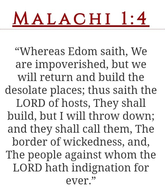 Simple Man tweet media