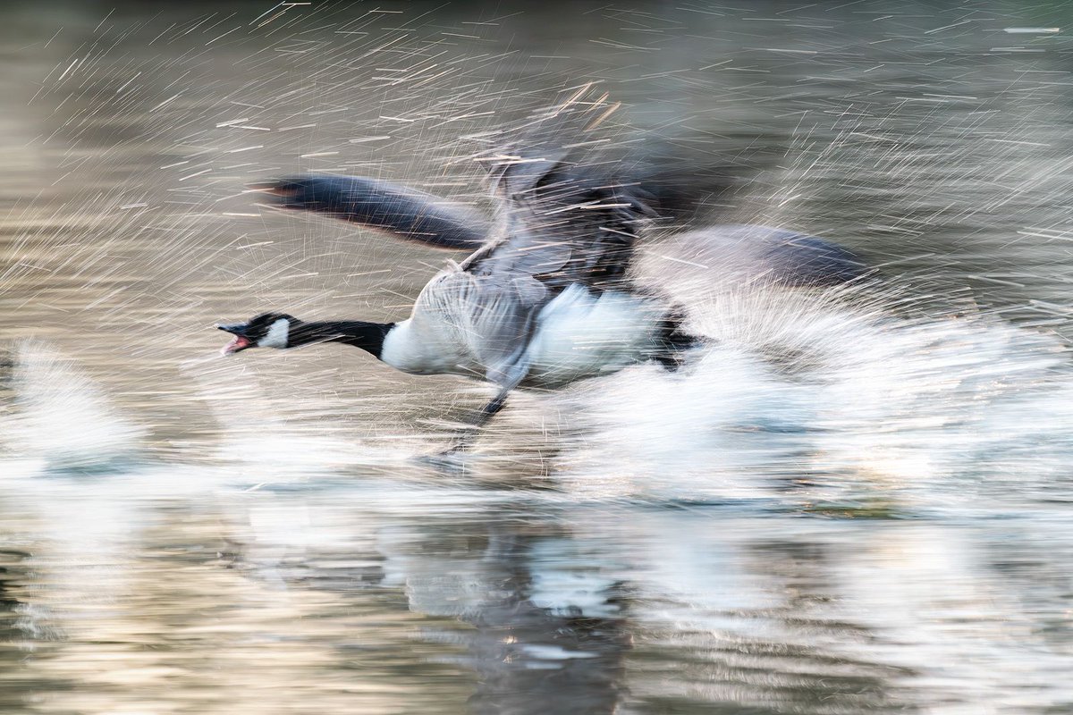 Steve Palmer tweet media