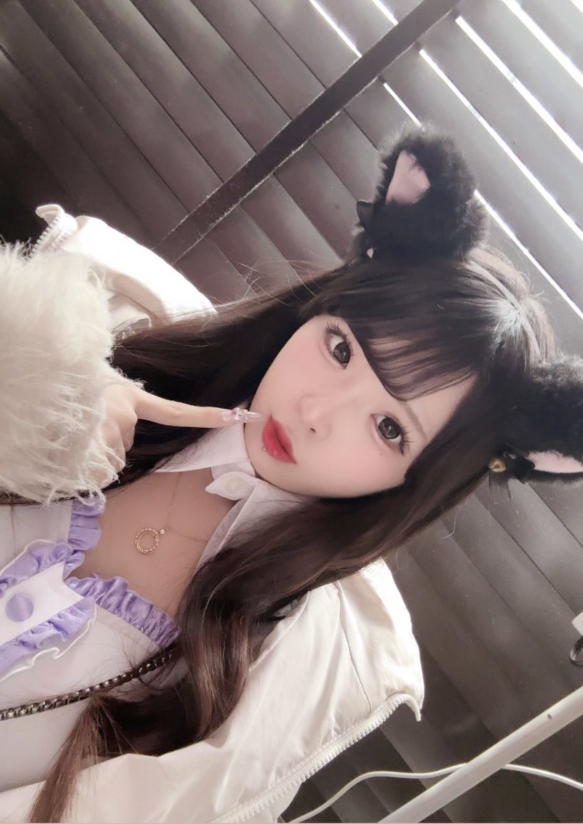 コンカフェ キャストコレクション｜【夜遊びショコラ選手権コラボ中】 tweet media