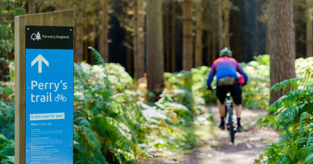 Forestry Commission tweet media