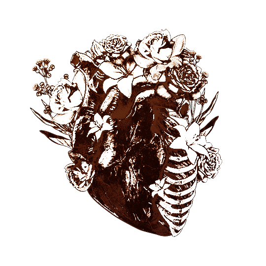 ⁎♱ ،̲،̲ᅠᅠ𝓫𝐫𝐢𝐧𝐠 𝐨𝐮𝐭 𝐲𝐨𝐮𝐫 𝓭𝐞͟𝐚͟𝐝 , tweet media