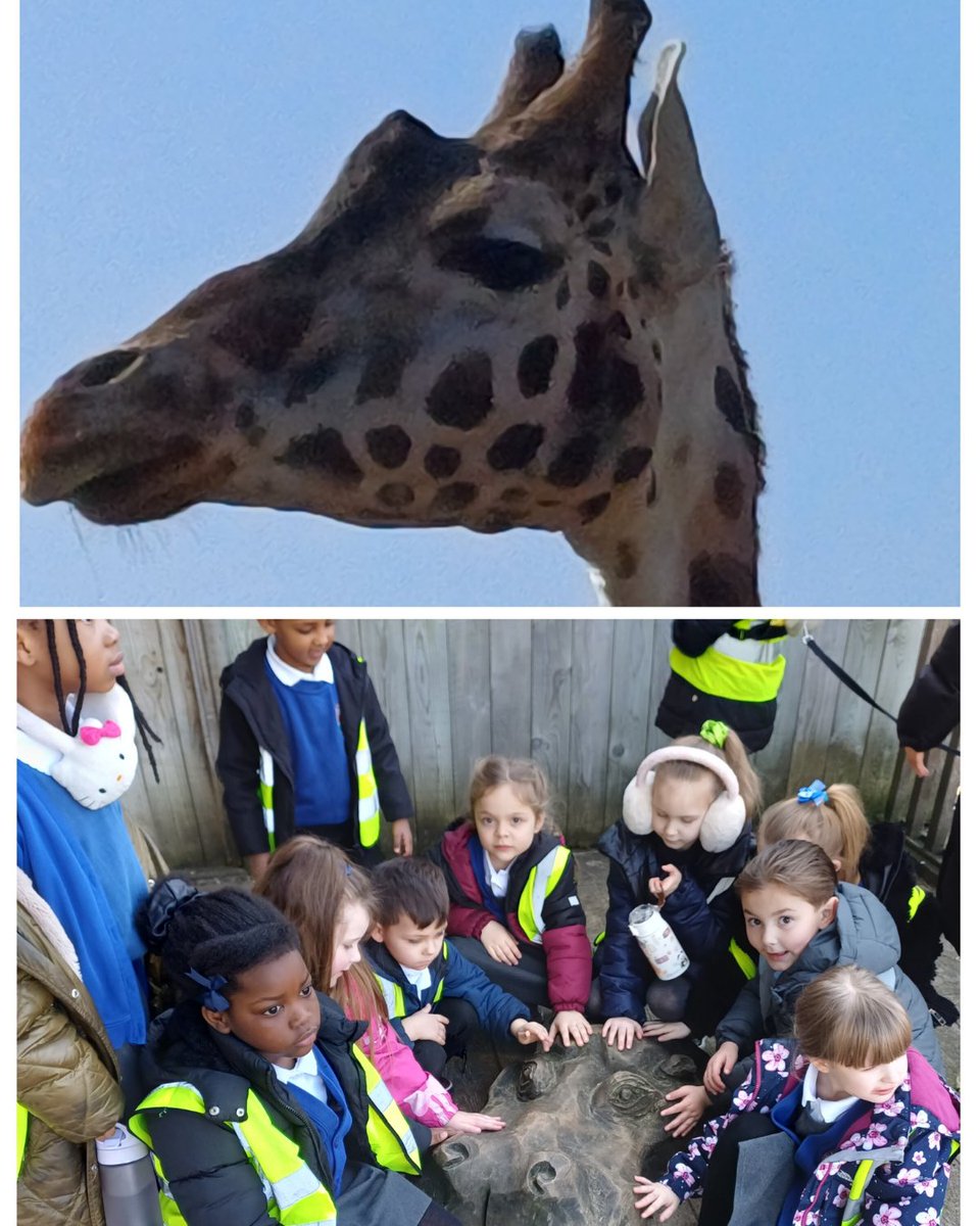 SharpLaneLeeds tweet media