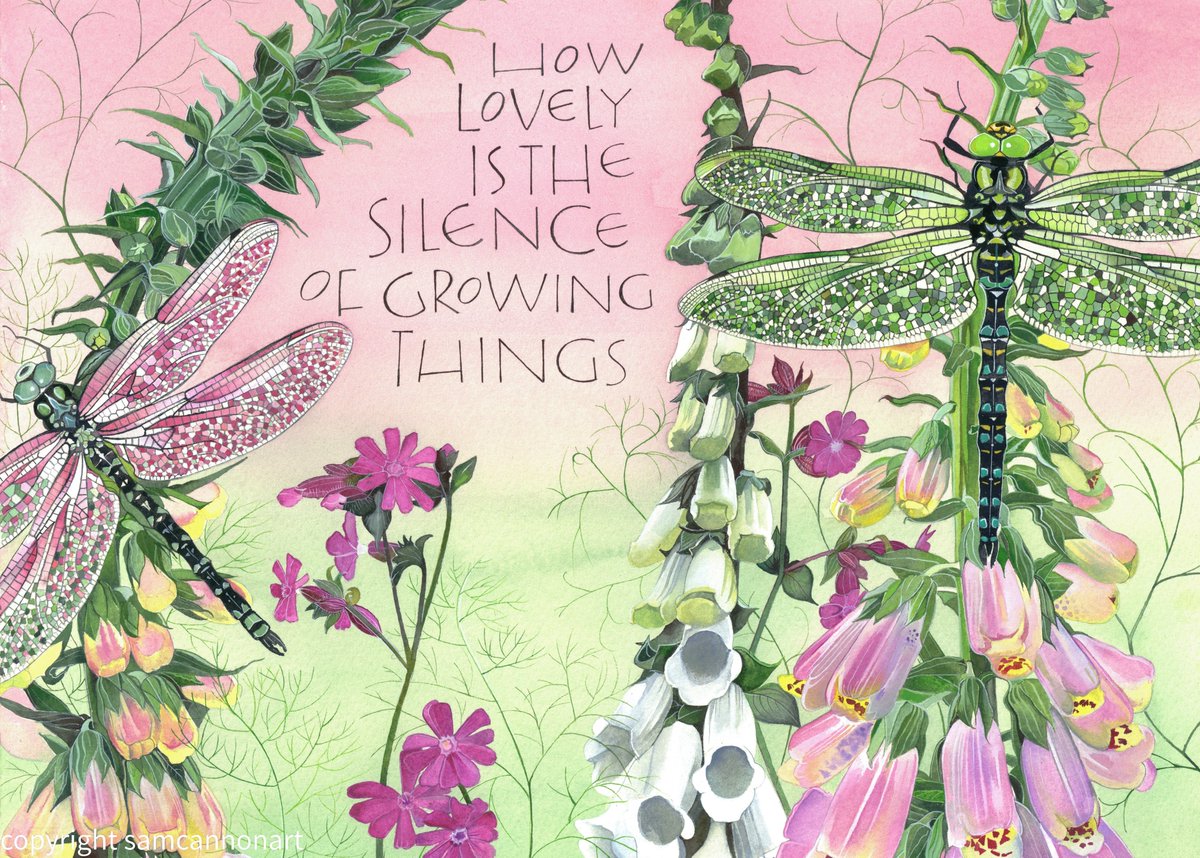 SamCannonArt's tweet image. Apart from the Stitchwort, none of these flowers are out here yet. But they are coming. And so will the dragonflies. 

Beautiful things to look forward to ❤️❤️❤️

#spring #womensart