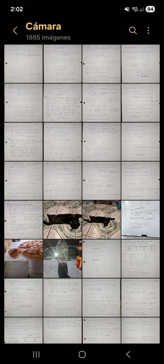 Mi galería está llena de tareas de la universidad y Choco 🐱.