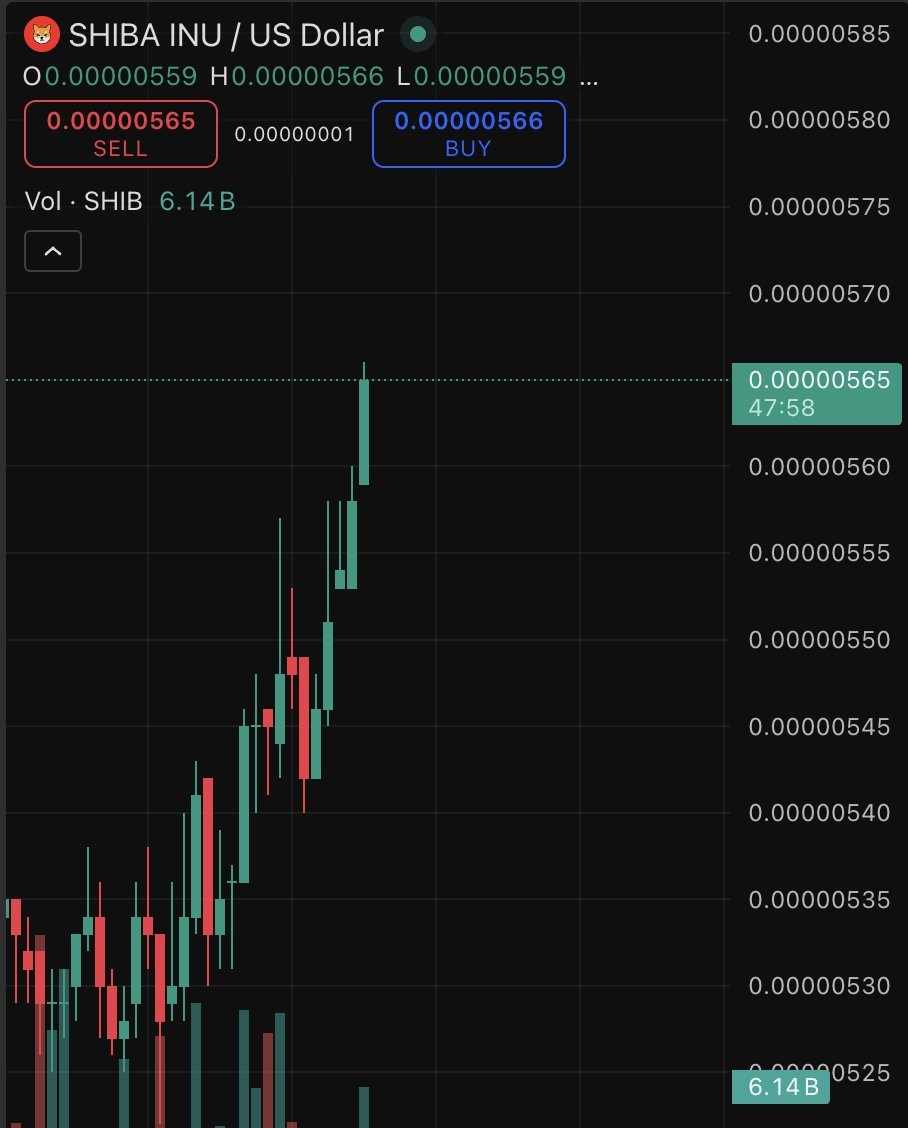 CRYPTO SHIB tweet media