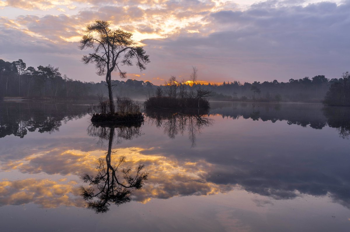Weerverteller.nl tweet media