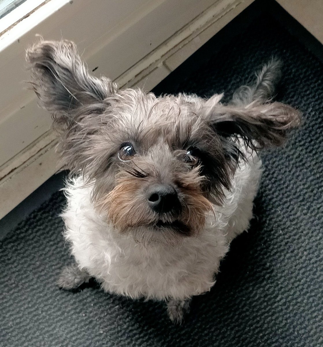 kluizenares's tweet photo. #Cleospam ♥️🥰 https://t.co/RR2KM1X98F