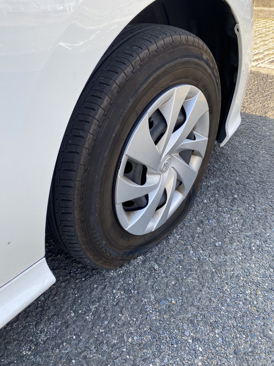 Back2Fishing tweet media