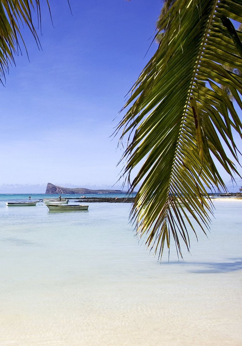 Mauritius Island tweet media