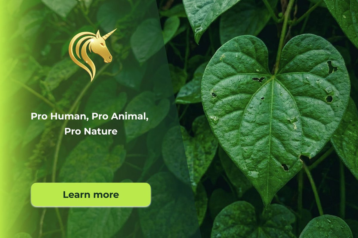 SanTerris One tweet media