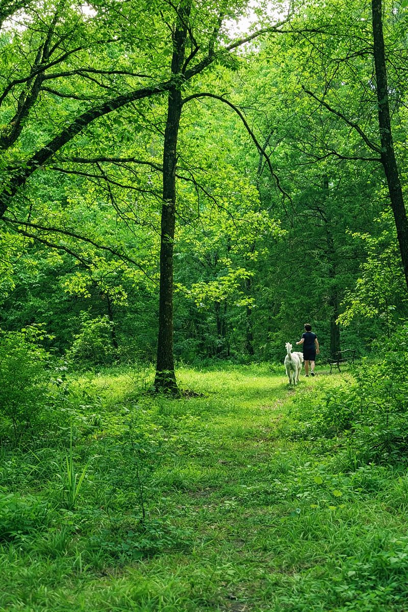 DeepAnal tweet media