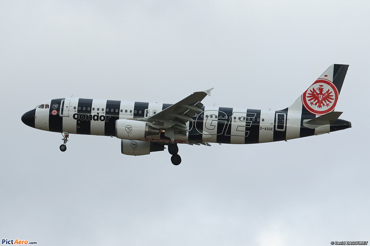 David D. ✈️🛩️ tweet media