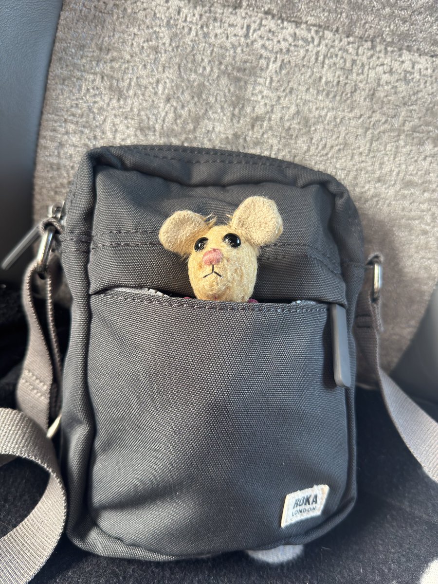 Pip Mouse tweet media