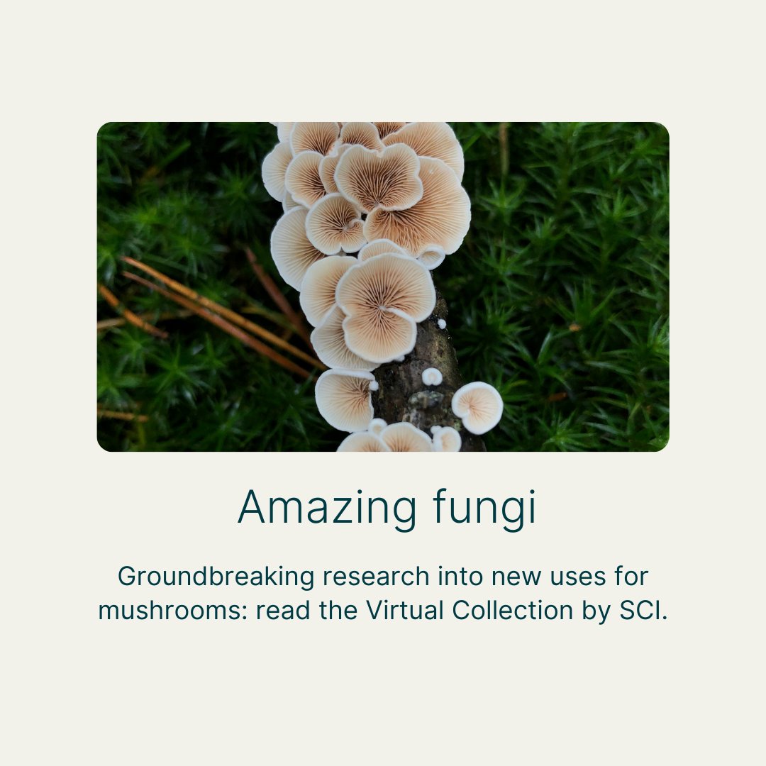 Wiley STEM tweet media