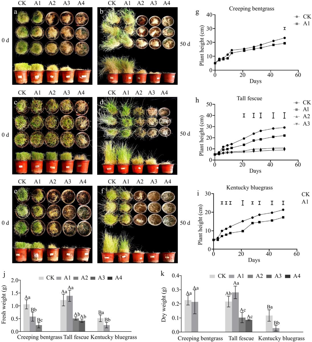 Grass Research tweet media