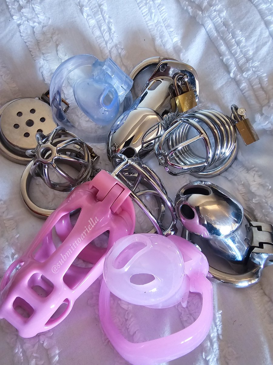 Goddess Ariella tweet media