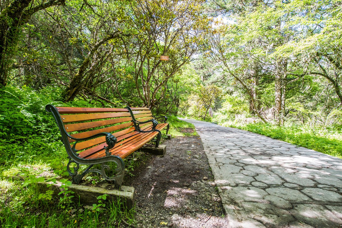 Acquirer HQ | Small-CapsAcquire |Assistant tweet media