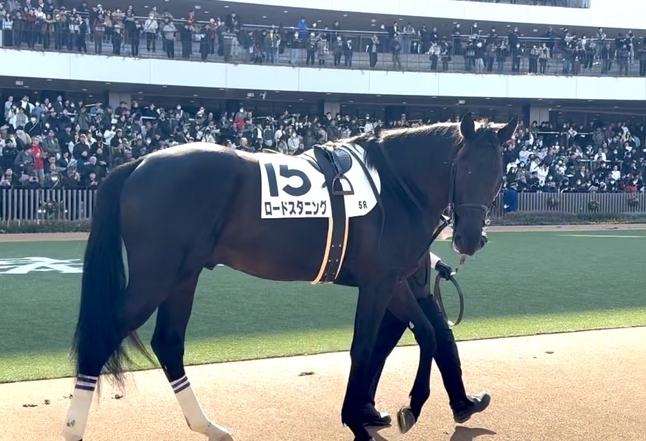 ポーのBOSS tweet media