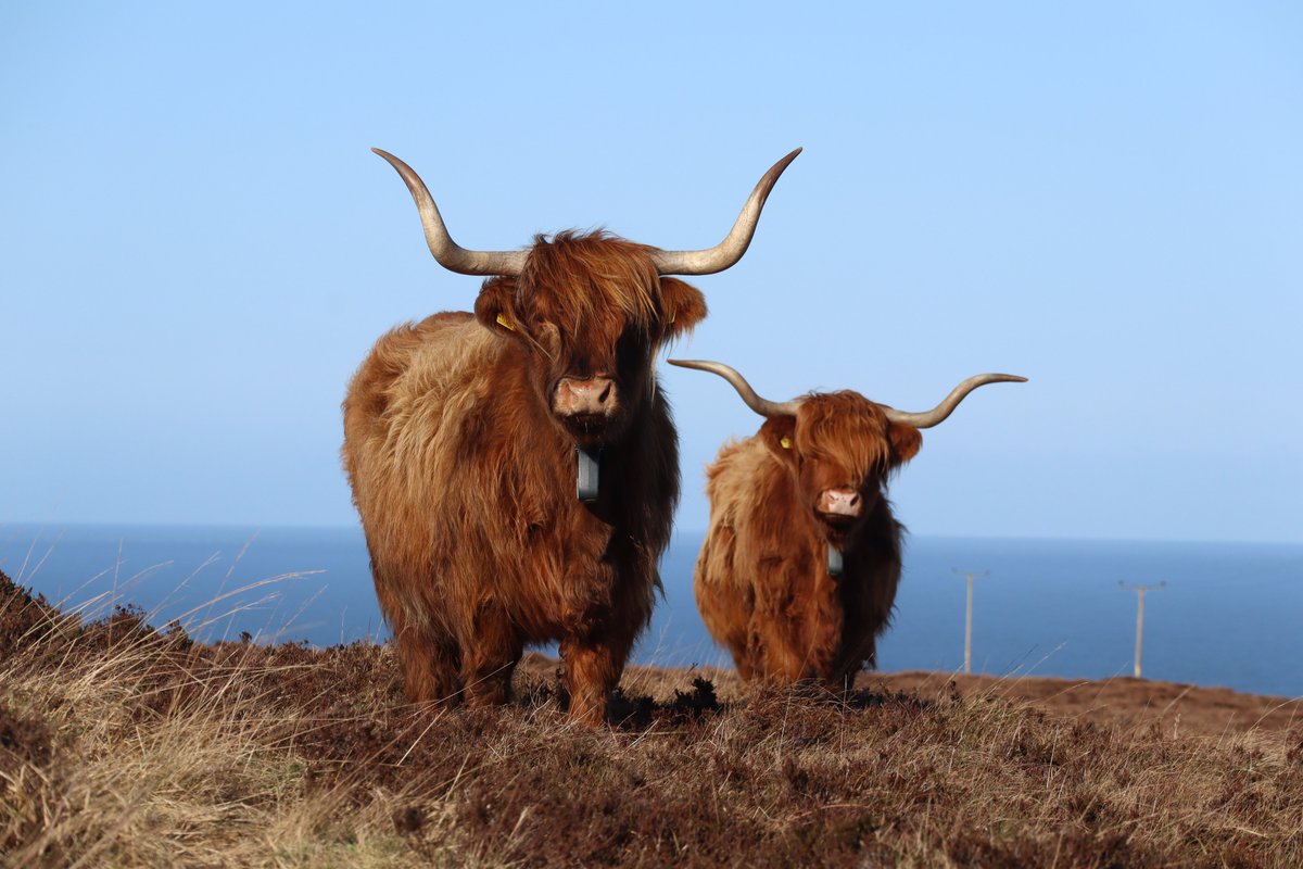 Working_for_Waders tweet media