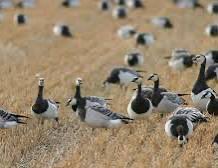 Sari Essayah tweet media