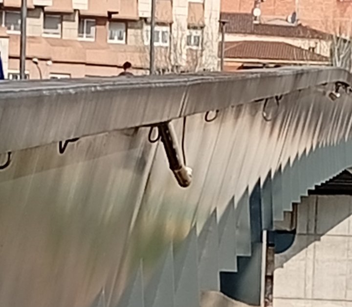 maneltec's tweet photo. #MoltBonDia_Colla 🤠
#HolaLleida_CAT
#CaminantPerLleida🚶
#Lleidatà_i_Català 🥂
#SócDel_27_7_57 🤗
#OrgullBordeus 
#Denunciar 😵‍💫
#Valorar 🤩 
#CampanyaSobreCampanya
#FotosDePostureig
#LleidaFaPena 🥴
#Desídia_i_eixadesa
@paerialleida 
Avui en una passejada  
pels #CampsElisis 😣 https://t.co/3DNLkALXZr