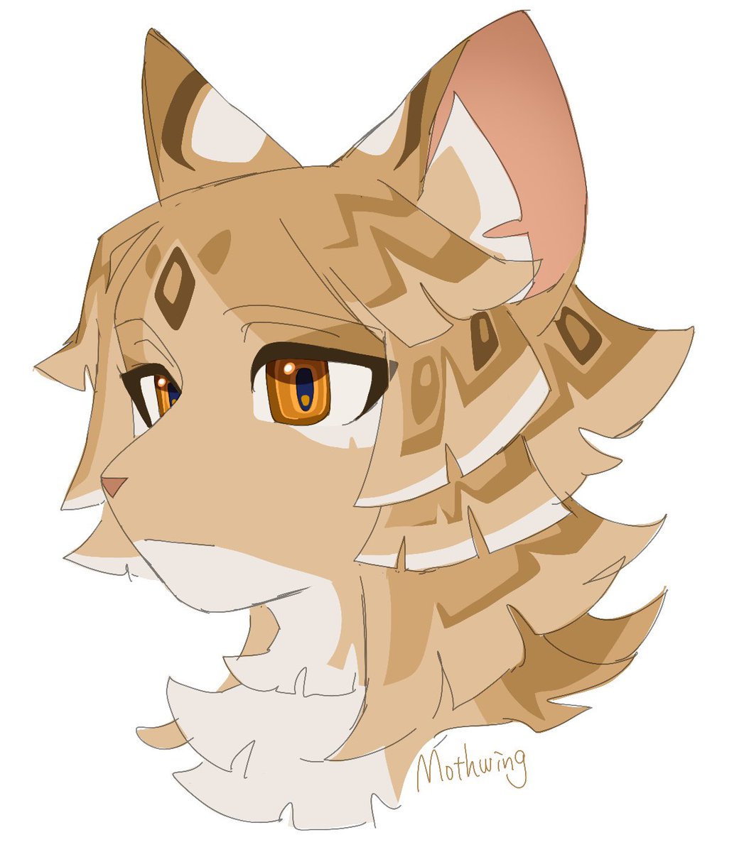 猫ゴコロ🇯🇵 tweet media