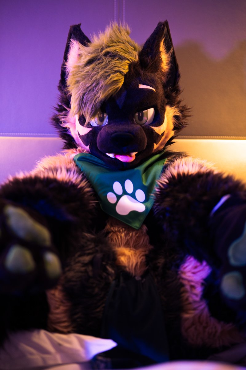 蕎麦🐕そば🔜 UTFG tweet media