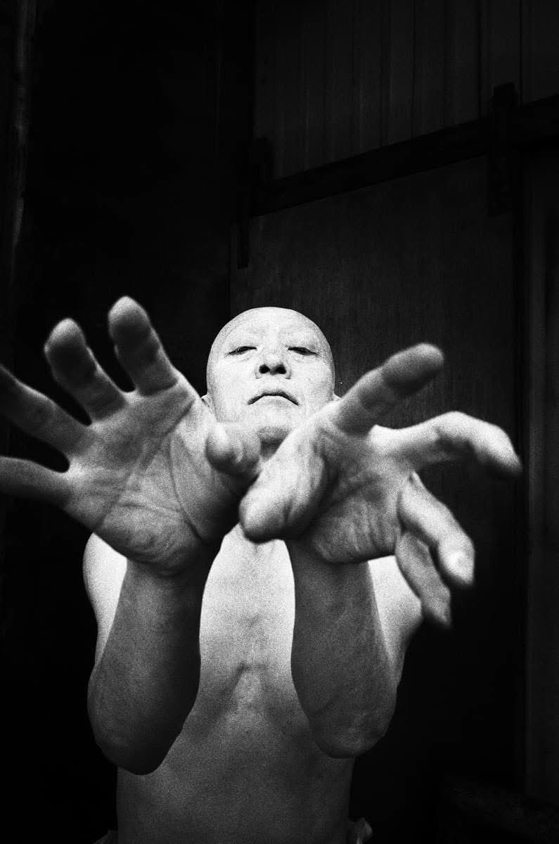 点滅◉舞踏 tweet media