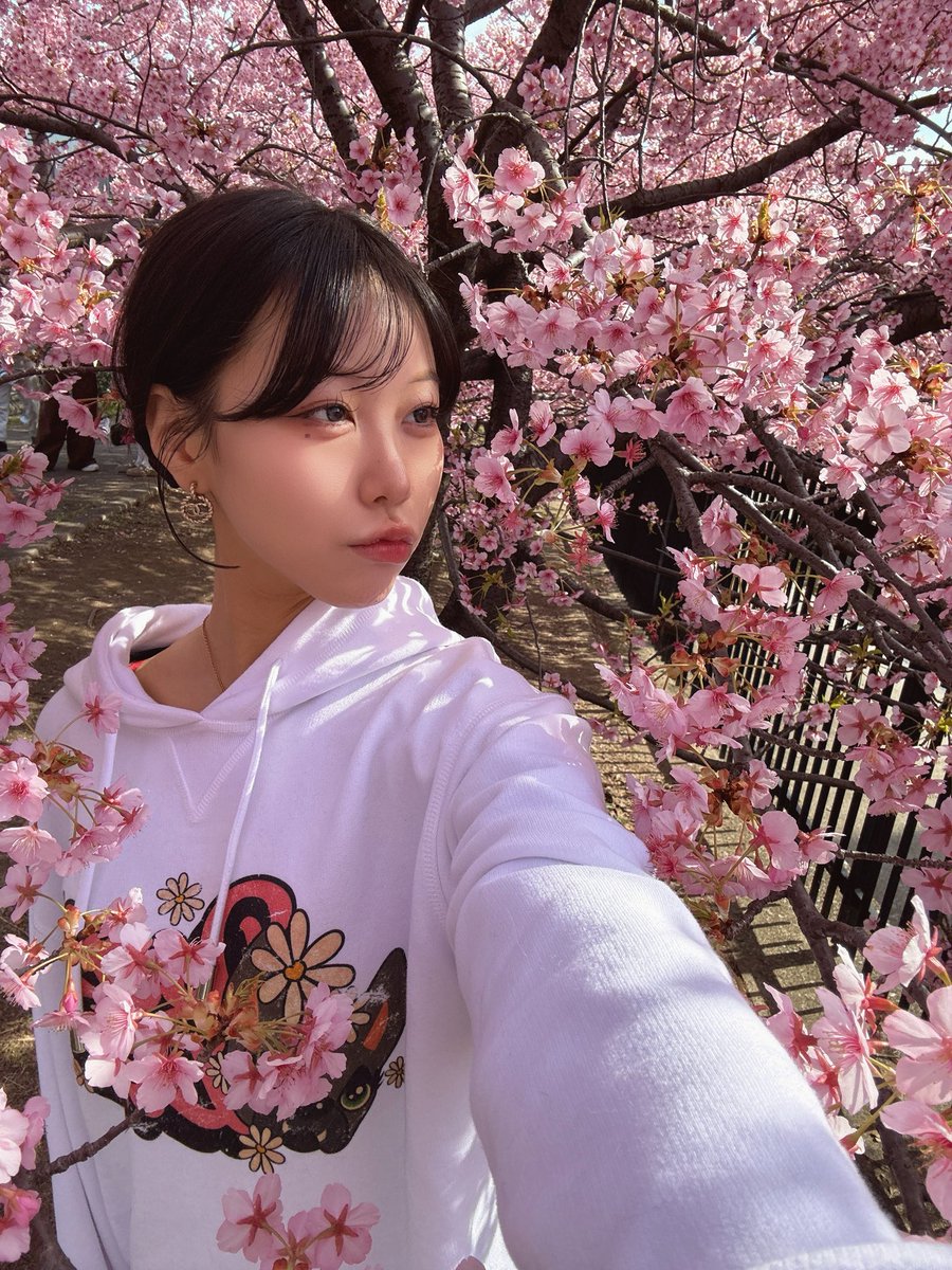 official__rinan's tweet photo. 桜ちゃん見てきた🌸*･ https://t.co/IusZcWBgLd