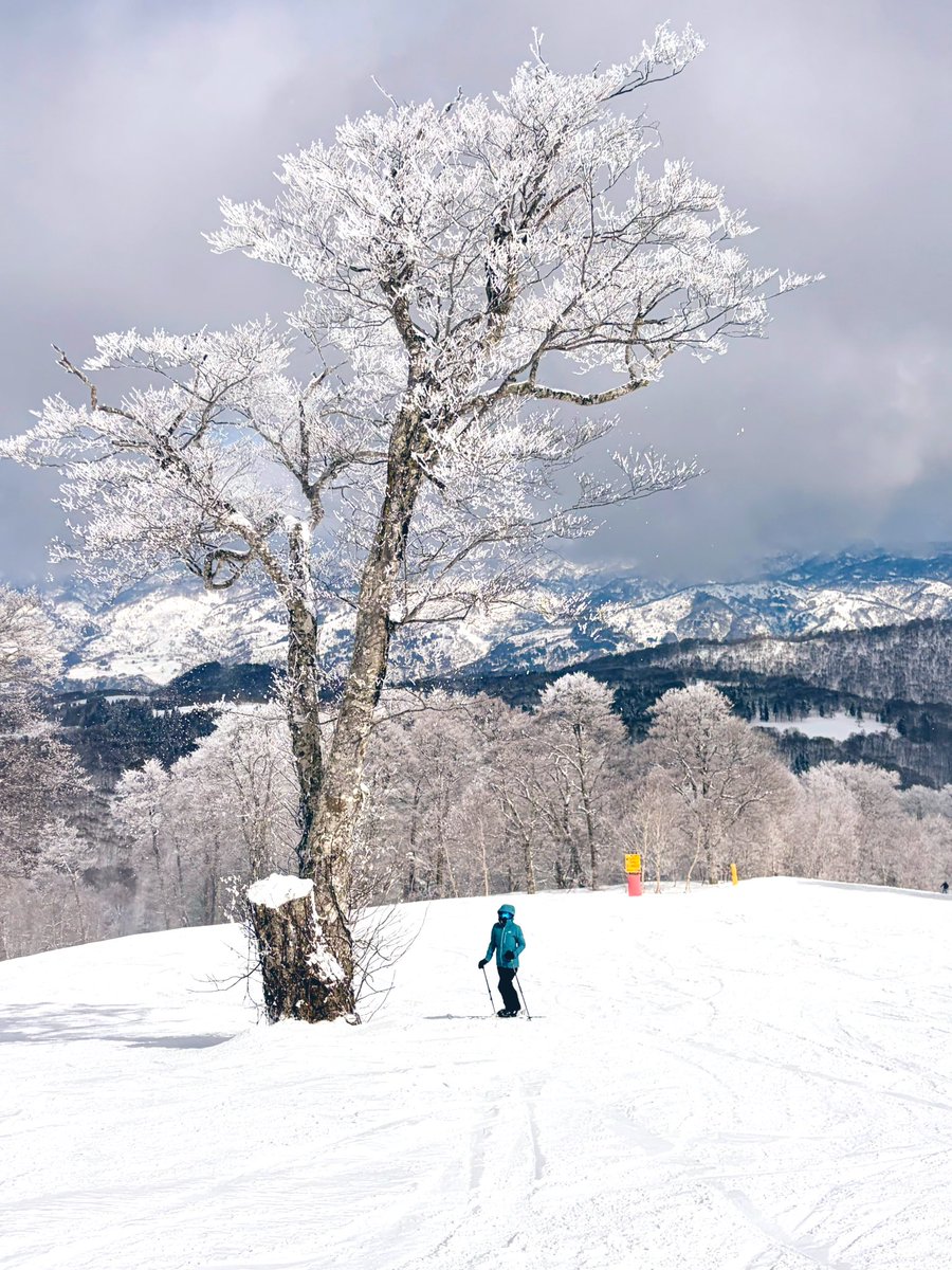 やぎちゃん🏔️登山YouTuber｜nagano tweet media