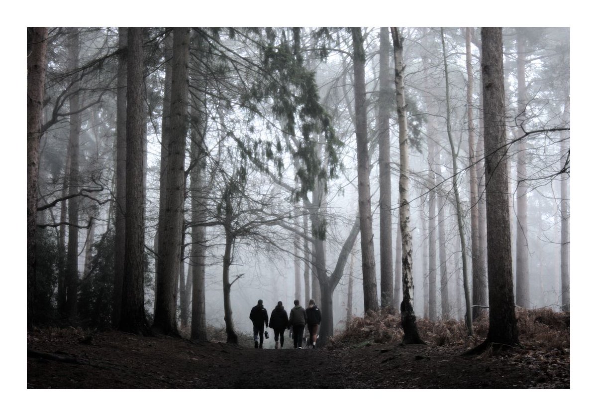 Dale Rockell tweet media