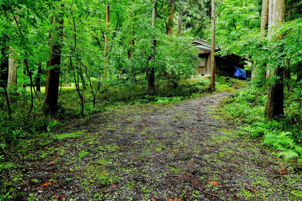 森のフォトスタジオ〜丹波〜 tweet media