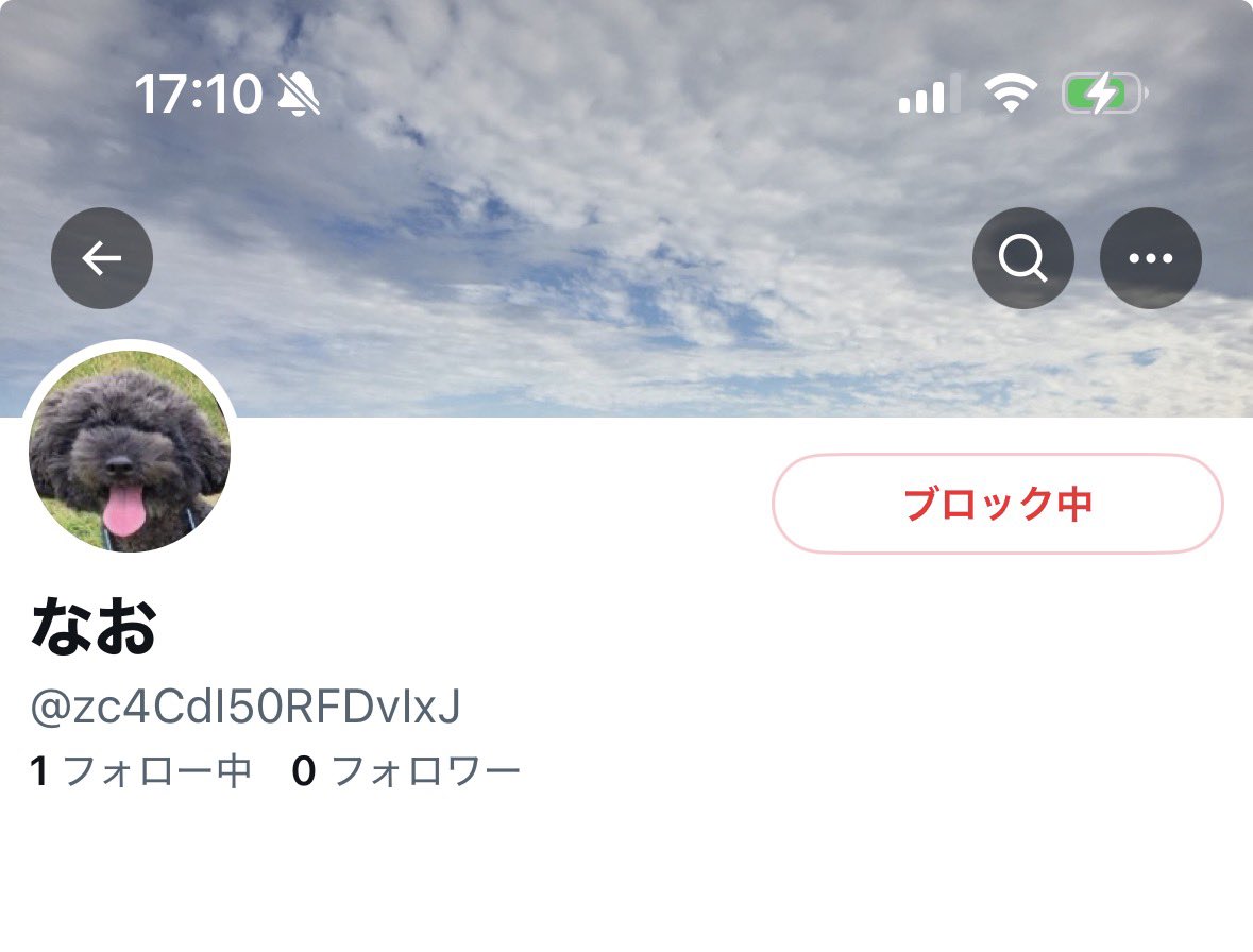 あいり tweet media
